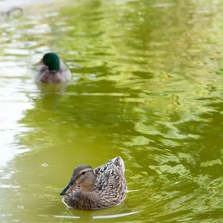 דירה Pretty Views *