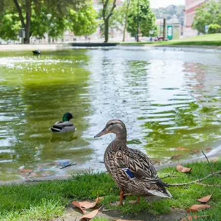 Pretty Views * Лісабон