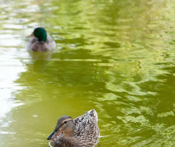 Apartmán Pretty Views *