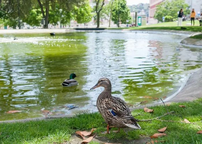 Pretty Views * Lisboa
