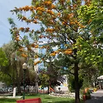 Апартаменты Pretty Views Лиссабон